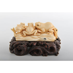 Mammoth Ivory- Resting Frogs